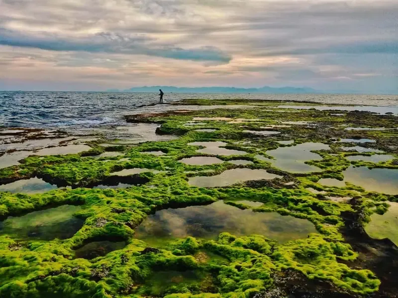 san hô hòn đỏ ninh thuận