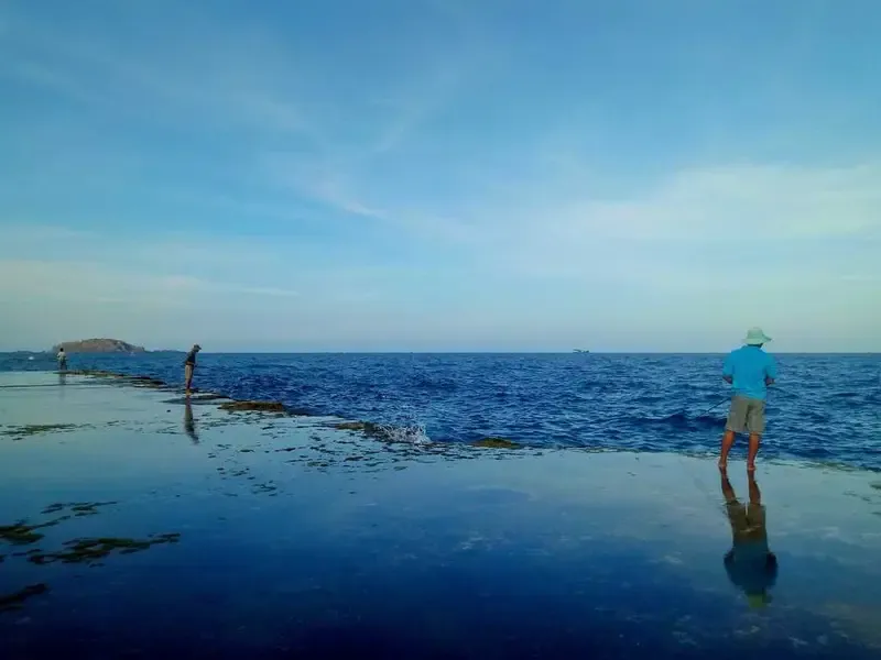 san hô hòn đỏ ninh thuận