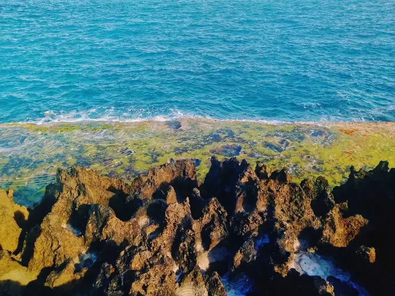 san hô hòn đỏ ninh thuận