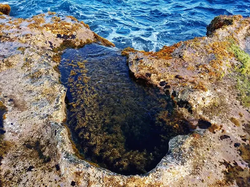 san hô hòn đỏ ninh thuận