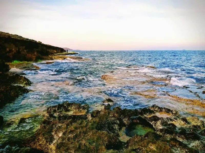 san hô hòn đỏ ninh thuận