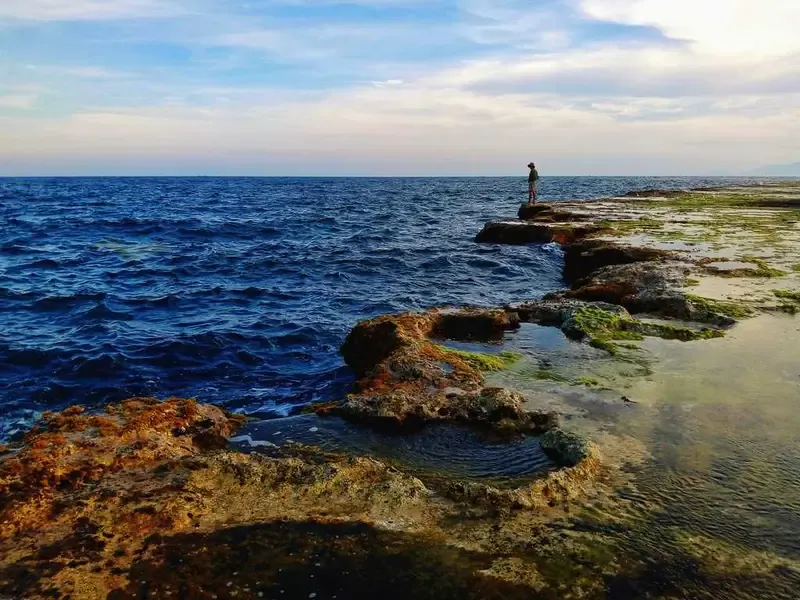 san hô hòn đỏ ninh thuận