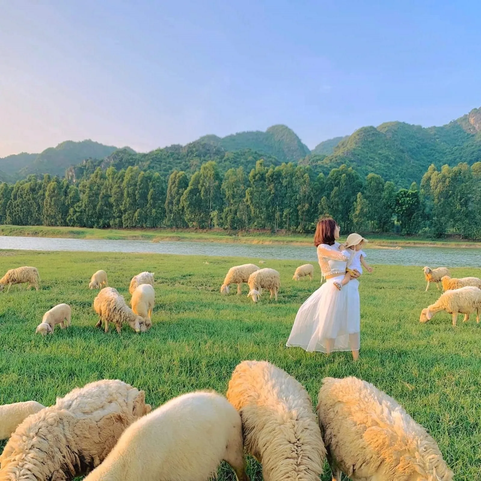 8 địa điểm nhất định phải đi ở Phan Rang Ninh Thuận