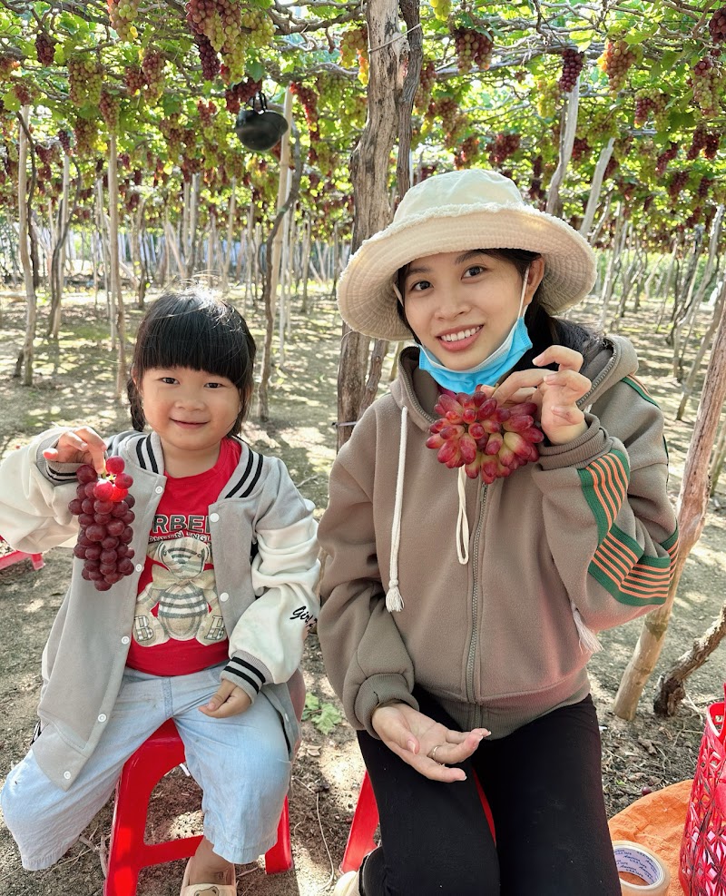 Vườn Nho Thanh Thuỷ Thái An